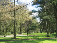 raismes parc 1